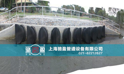 法蘭式<a href=http://www.dessous.com.cn/ target=_blank class=infotextkey>橡膠鴨嘴閥</a>的特點(diǎn)