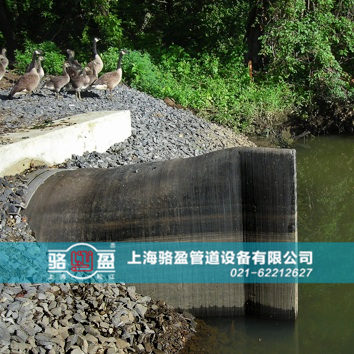 直嘴<a href=http://www.dessous.com.cn target=_blank class=infotextkey>橡膠止回閥</a>運(yùn)行現(xiàn)場(chǎng)